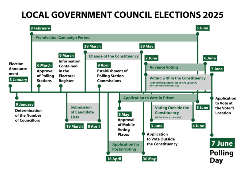Local government council elections 2025