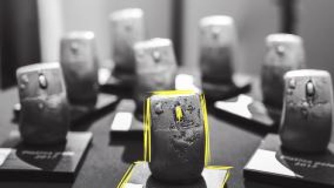 Elektroniskajam tiešsaistes vēlētāju reģistram piešķirta LIKTA balva "Platīna pele"