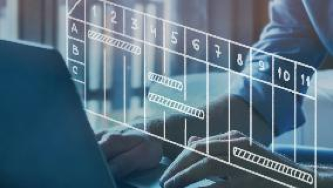 Aicinām darbā IT projektu vadītāju