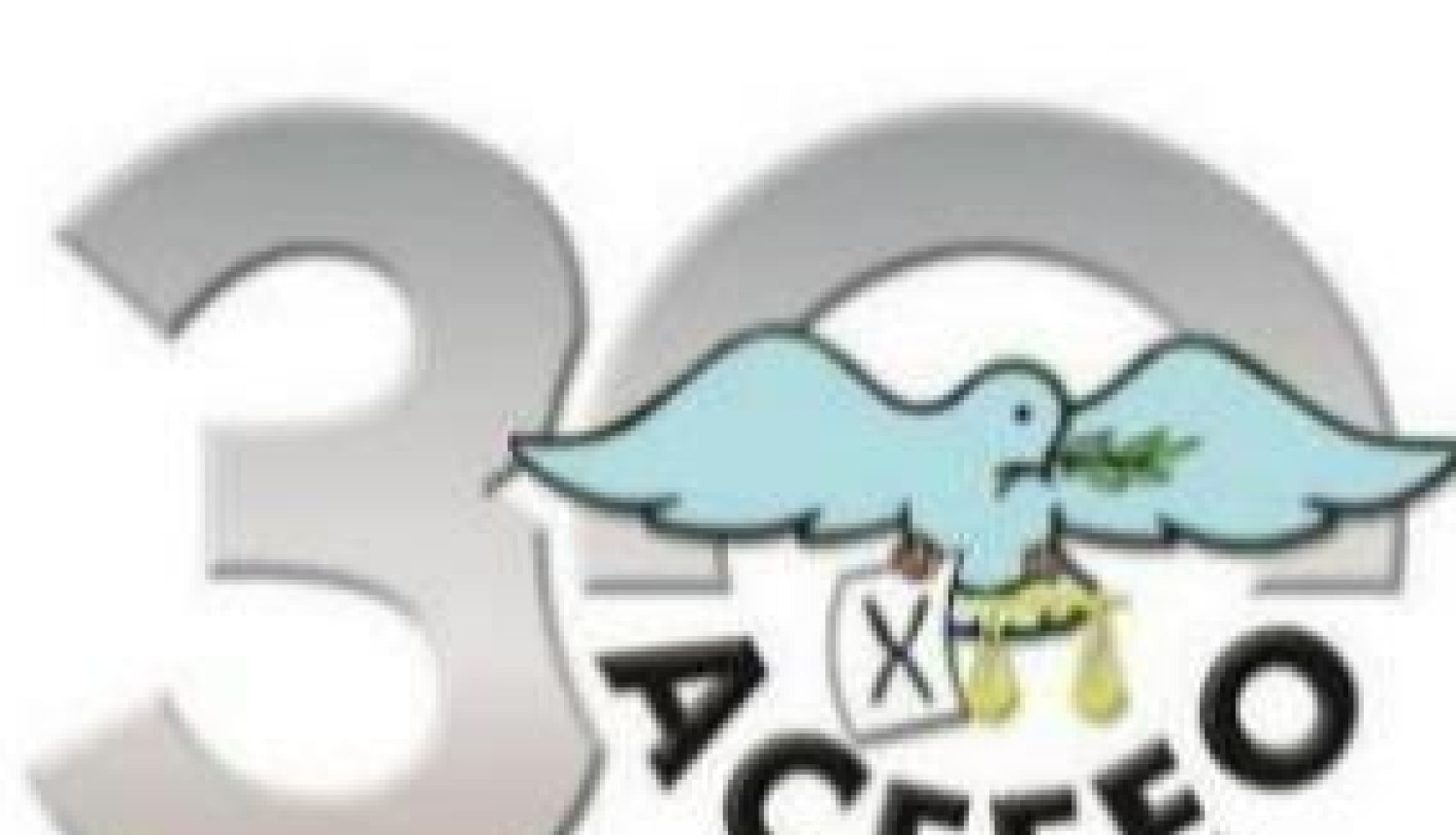 Eiropas valstu vēlēšanu administratoru asociācija izbeidz savu darbību, nespējot vienoties par Krievijas un Baltkrievijas izslēgšanu