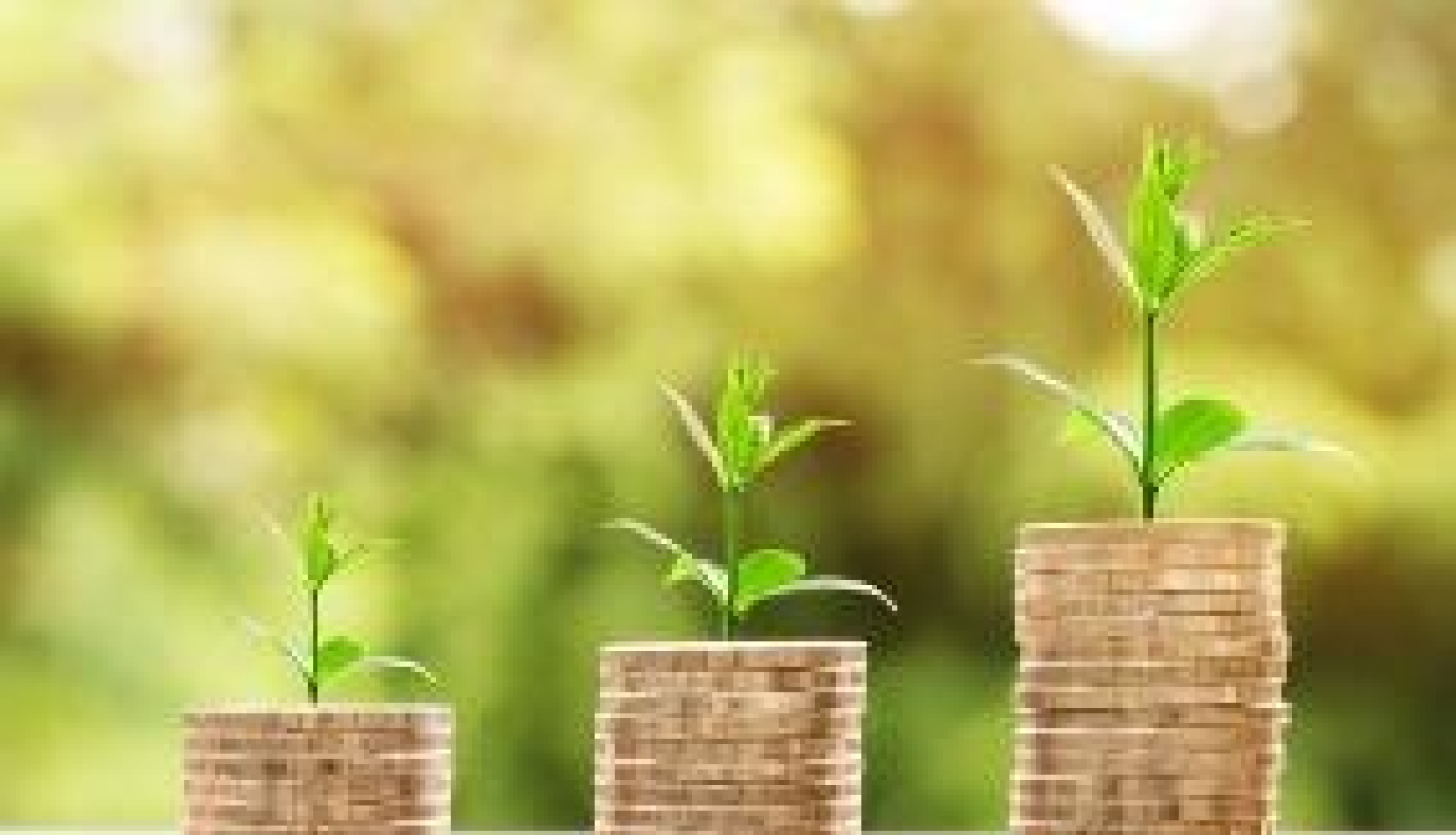 Saeima 2022. gada budžetā atbalsta papildu 3,5 miljonu eiro piešķiršanu Centrālajai vēlēšanu komisijai 14. Saeimas vēlēšanu sagatavošanai