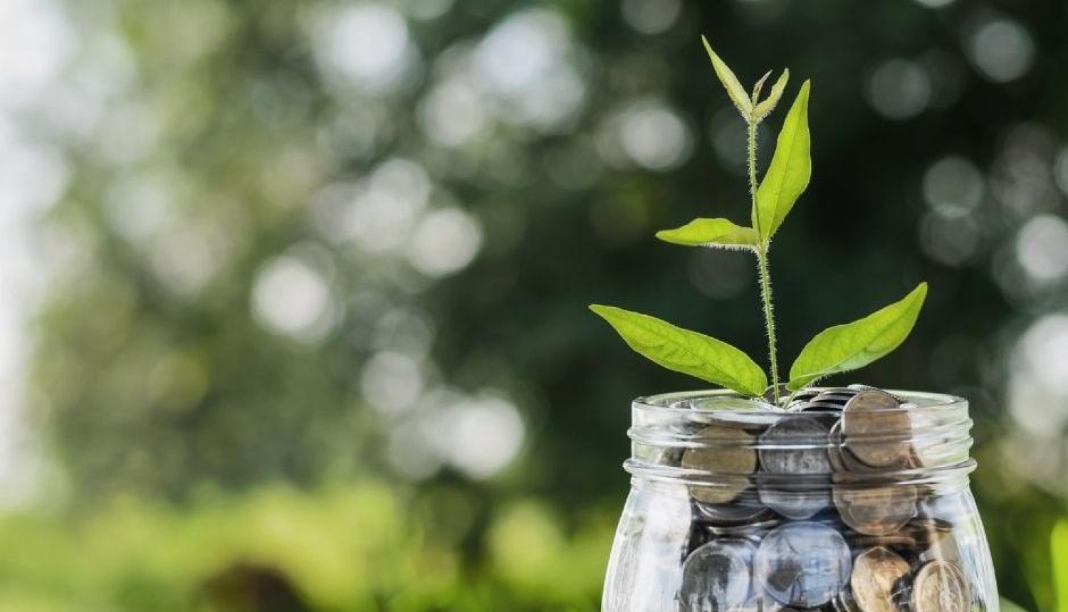 Saeimas vēlēšanu IT risinājumiem, vēlēšanu komisiju locekļu atalgojumam un vēlētāju informēšanai 2022. gadā papildus nepieciešami 4 128 412 eiro